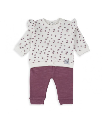 Conjunto flores
