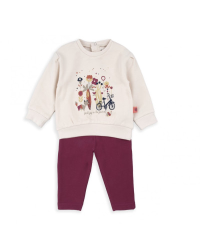 Conjunto flores