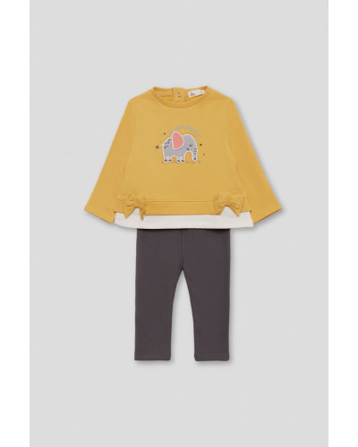 Conjunto elefante