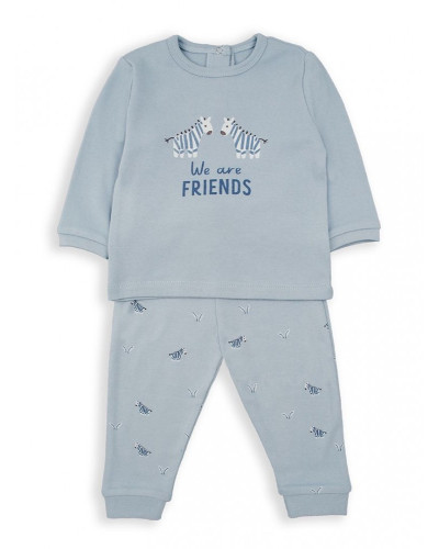 Conjunto zebras