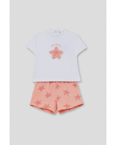 Conjunto estrella de mar
