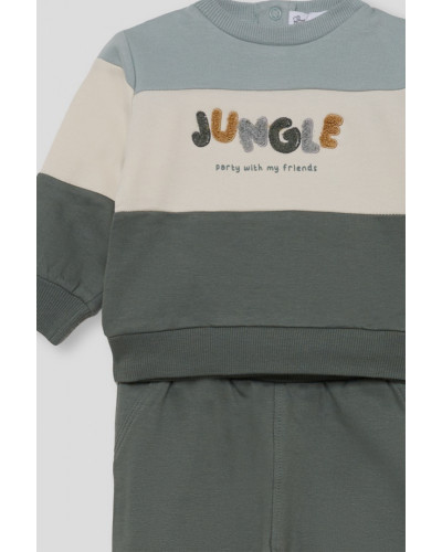 Conjunto jungle