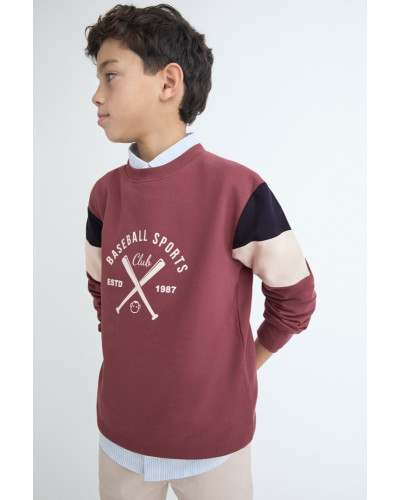 Sudadera baseball