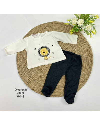 Conjunto polaina león