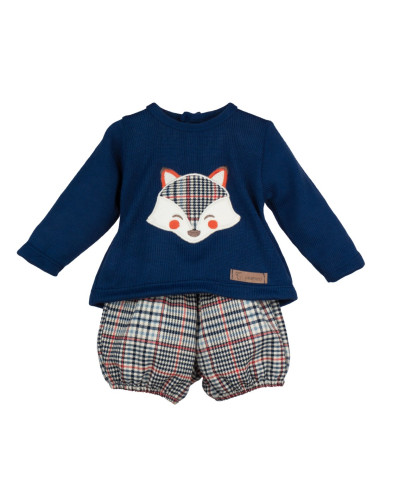 Conjunto zorro