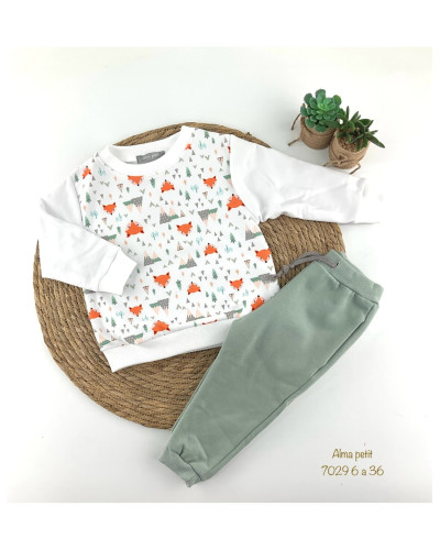 Conjunto chándal zorros