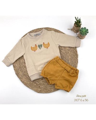 Conjunto pollitos
