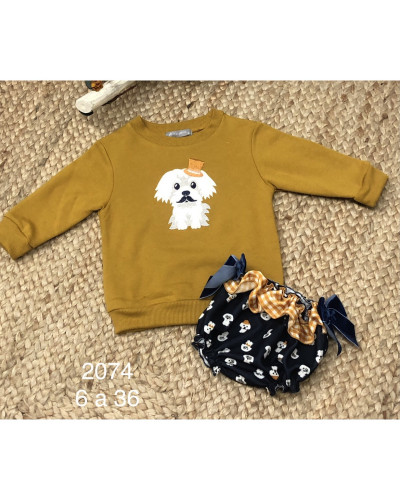Conjunto perrito