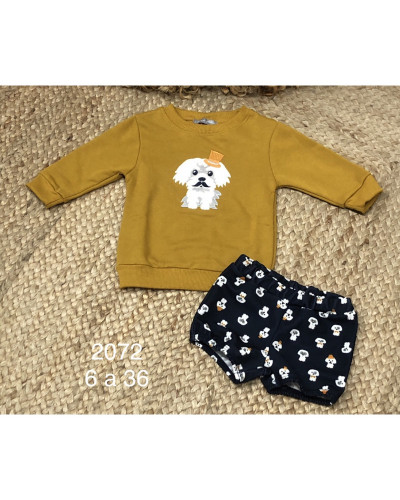 Conjunto perrito