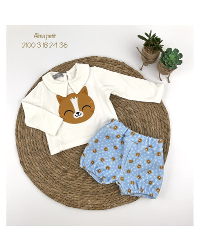 Conjunto gato