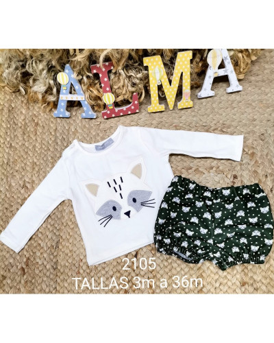 Conjunto mapache