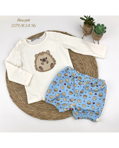 Conjunto erizo