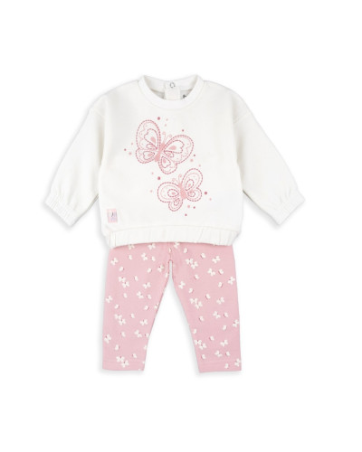 Conjunto mariposas
