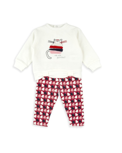 Conjunto gato