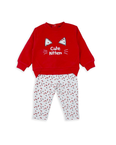 Conjunto orejas gato